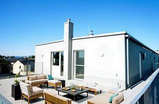 Penthouse kaufen in 2460 Bruck an der Leitha, Leben wie im Penthouse!