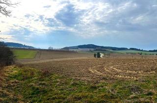 Gewerbeimmobilie kaufen in 4942 Gurten, Landwirtschaftlicher Grund/Ackerfläche im Ortsbereich Reiset
