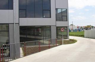 Büro zu mieten in Brünner Straße, 2201 Seyring, GHI-Park Seyring
