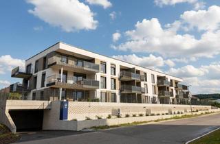 Wohnung mieten in Trölsstraße, 4240 Freistadt, NEUER PREIS - Superkompakte Terrassenwohnung - | Erstbezug | Grünblick