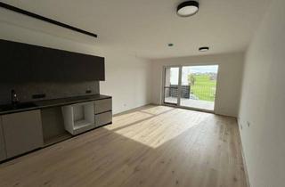 Wohnung mieten in Trölsstraße, 4240 Freistadt, NEUER PREIS - Superkompakte Terrassenwohnung - | Erstbezug | Grünblick