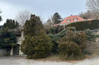 Haus mieten in 3500 Krems an der Donau, Villa in Bestlage in Krems an der Donau