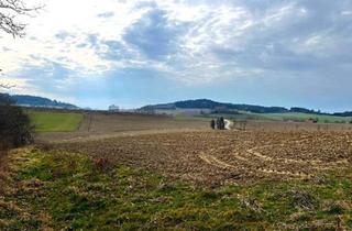 Gewerbeimmobilie kaufen in 4942 Gurten, Landwirtschaftlicher Grund/Ackerfläche im Ortsbereich Reiset