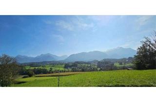 Grundstück zu kaufen in 9232 Rosegg, Wunderschönes Grundstück mit 2760 m² Ca. 10 min zum Wörthersee, ca. 12 min zum Faakersee, auch geteilt errwerbbar