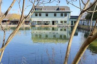 Villen zu kaufen in 9300 Sankt Veit an der Glan, Mietwohnhaus mit Naturbadeanlage und Wasserrecht!