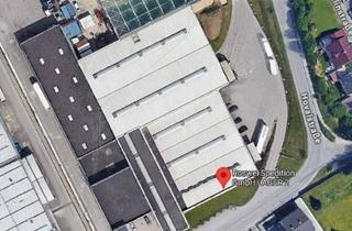 Büro zu mieten in 4614 Marchtrenk, Lager-/Logistikhalle Wels Ost - Hallenhöhe bis 8 Meter