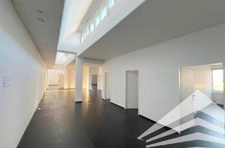 Büro zu mieten in Paul-Hahn-Strasse 1 - 3, 4020 Linz, 270 m² Bürofläche mit Teeküche und Parkplätzen Nähe Industriezeile!