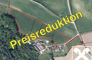 Gewerbeimmobilie kaufen in 9113 Ruden, Ruhige Lage! Landwirtschaftliche Nutzfläche mit Baugrund im Bezirk Völkermarkt