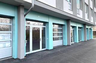 Büro zu mieten in Donaustraße, 1190 Wien, *PROVISIONSFREI* Ebenerdige, loftartige Arbeitsstätte/Produktionsfläche/Schauraum mit Sektionaltor