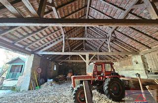 Bauernhäuser zu kaufen in 3910 Oberstrahlbach, Ein-/Zweifamilienhaus mit großem Stadel!