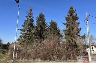 Grundstück zu kaufen in 2193 Wilfersdorf, Garten mit großem Baumbestand!