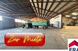 Lager mieten in 2135 Neudorf bei Staatz, Neudorf/Weinviertel - Halle zur Vermietung, Ideal Für die Lagerung von Booten, Campingfahrzeugen