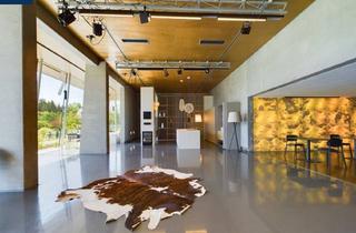 Büro zu mieten in Nähe Ortsmitte, 3910 Zwettl-Niederösterreich, EXCLUSIVE Büroflächen mit 741 m² - Großglobnitz bei ZWETTL im Waldviertel