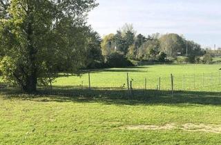 Grundstück zu kaufen in 3424 Zeiselmauer, Teilbar, Pacht oder Kauf, Provisionsfrei, Gewerbegrund