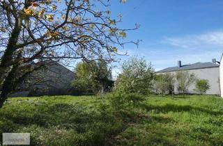 Grundstück zu kaufen in 7132 Frauenkirchen, BAUGRUND NÄHE STADTZENTRUM RUHIGE ANWOHNERSTRASSE