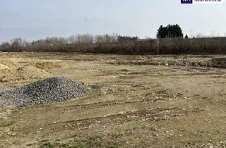 Grundstück zu kaufen in Untervogau, 8472 Straß in Steiermark, ++ LAGE, LAGE ++ GEWERBEGRUNDSTÜCK an der A9 AUTOBAHNABFAHRT bzw. -AUFFAHRT ST. VEIT VOGAU ++ TEILUNG MÖGLICH ++ BD KG 0,2 - 1,0