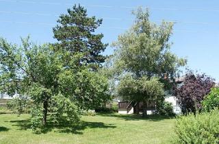 Einfamilienhaus kaufen in 7423 Wiesfleck, Wiesfleck - gepflegtes Einfamilienhaus mit großem Garten
