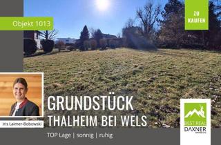 Grundstück zu kaufen in 4600 Thalheim bei Wels, Sonniges Grundstück in sehr guter Lage