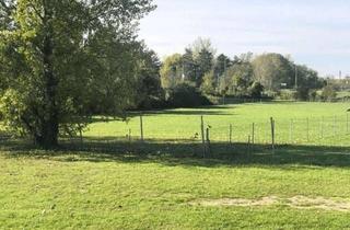 Grundstück zu kaufen in 3424 Zeiselmauer, Teilbar, Pacht oder Kauf, Provisionsfrei, Gewerbegrund
