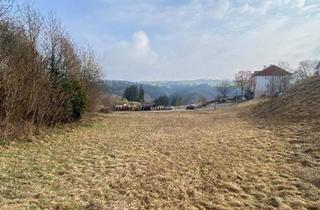 Grundstück zu kaufen in 4120 Neufelden, Tolles Grundstück mit Aussicht in Neufelden
