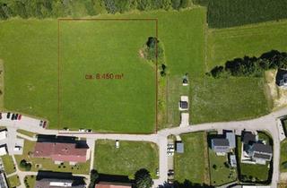 Grundstück zu kaufen in 9122 Seelach, Bauträgergrundstück mit Potenzial