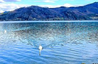 Wohnung kaufen in 4863 Seewalchen am Attersee, HAUS am ATTERSEE ? PRIVAT