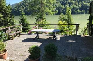 Grundstück zu kaufen in 4083 Haibach ob der Donau, Freizeitgrundstück mit Donaublick