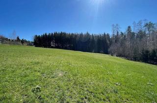 Grundstück zu kaufen in 8062 Kumberg, Bauträger aufgepasst: Sonniges Grundstück in idyllischer Ruhelage