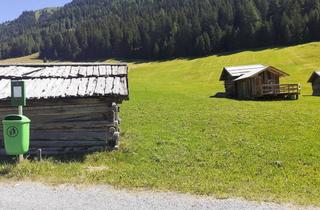  in Tschey 01, 6542 Pfunds, Verpachte Idyllischen Bergwiese in Tschey / Pfunds für Imker