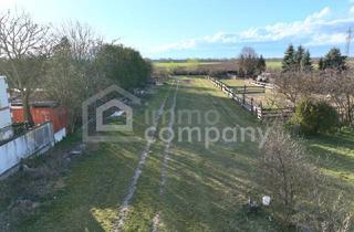 Grundstück zu kaufen in 2434 Götzendorf an der Leitha, Großes Grundstück in Pischelsdorf zu verkaufen!