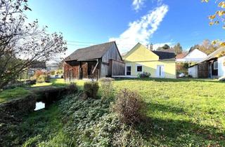 Einfamilienhaus kaufen in 7534 Olbendorf, Einfamilienhaus mit arrondierter Grünfläche für Naturliebhaber