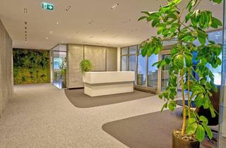 Büro zu mieten in 5431 Kuchl, Kuchl - 110 m² Bürofläche zu vermieten