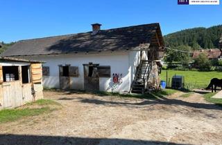 Agrarfläche kaufen in 8570 Voitsberg, Ihr Paradies auf dem Land: Charmanter Reiterhof in traumhafter Lage!