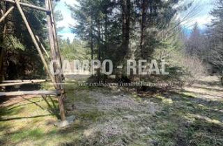 Agrarfläche kaufen in 3524 Grainbrunn, FORSTWIRTSCHAFT: ca. 1,2 ha Wald im Waldviertel, Ihr Traumplatz durch sichere Investition in Grund und Boden