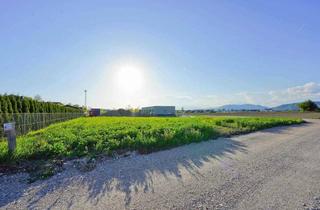 Grundstück zu kaufen in 9125 Kühnsdorf, Ebene Grundstücke in sonnig ruhiger Lage Nähe Klopeiner See (nur noch 3 Grundstücke verfügbar!)
