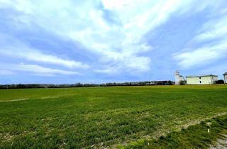 Gewerbeimmobilie kaufen in Gramatneusiedler Straße, 2435 Ebergassing, Rarität! Landwirtschaftliches Grundstück in Ebergassing – ca. 40.000 m² Ackerfläche mit enormen Wertsteigerungspotential zu verkaufen!