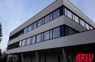 Gewerbeimmobilie mieten in Friedrich-Thurner Straße, 4910 Ried im Innkreis, Archiv-/Lagerfläche in zentraler Stadtlage