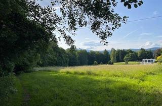 Grundstück zu kaufen in 9220 Velden am Wörther See, Großzügiges ruhiges Grundstück in See- und Zentrumsnähe!