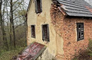Gewerbeimmobilie kaufen in 8334 Leitersdorf im Raabtal, ALLEINLAGE - Kellerstöckl in der Südoststmk.