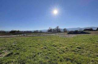 Grundstück zu kaufen in 8523 Laßnitz, Attraktives Bauland in malerischer Landschaft