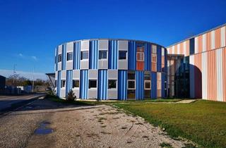 Büro zu mieten in 2011 Sierndorf, Büro