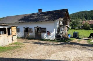 Lager kaufen in 8570 Voitsberg, Ihr Paradies auf dem Land: Charmanter Reiterhof in traumhafter Lage!