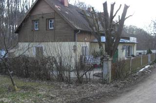 Haus kaufen in 2391 Kaltenleutgeben, Traumhafter Ruhelage - renovieren oder neu bauen