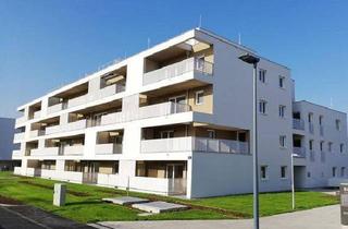 Wohnung mieten in Schlimpweg, 1210 Wien, Energieffiziente 2-Zimmerwohnung mit Terrasse BJ 2019 - Nähe Trillerpark & S-Bahn!