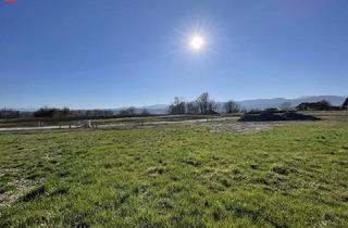 Grundstück zu kaufen in 8523 Laßnitz, Attraktives Bauland in malerischer Landschaft