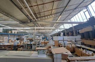 Büro zu mieten in Süddruckgasse, 2512 Tribuswinkel, A2 Baden: Flexible Produktionshalle