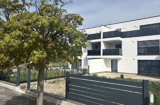 Wohnung kaufen in 2524 Teesdorf, *SUNNA-Sonnengöttin`* - MODERNE NEUBAU - 3- ZIMMER - WOHNUNG MIT *** LOGGIA, BALKON*** und PARKPLÄTZEN !!!
