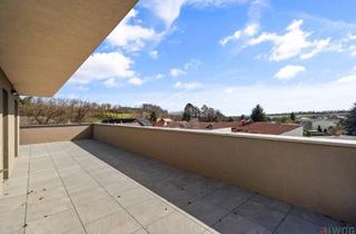 Wohnung kaufen in Bachgasse 1/2. 4, 2120 Wolkersdorf im Weinviertel, Dachgeschoss *** 4-Zimmer mit über 140m2 Terrasse / Loggia *** Leben im Weinviertel *** Nähe Wolkersdorf und Gerasdorf
