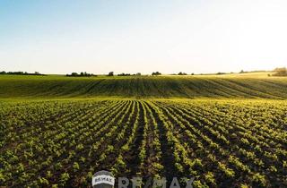 Gewerbeimmobilie kaufen in 2325 Himberg, "Biologische Landwirtschaft!"