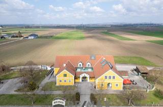 Gewerbeimmobilie kaufen in 3464 Hausleiten, "gut eingeführte Raststation mit Potenzial an der S5"